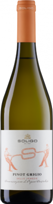 Pinot Grigio del Veneto 1,5 L. Magnum (Soligo)